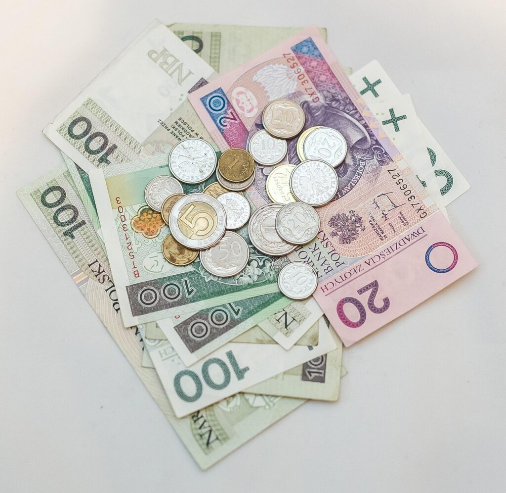 Quanto custa o curso de banho e tosa — investimento inicial e retorno financeiro em 2026