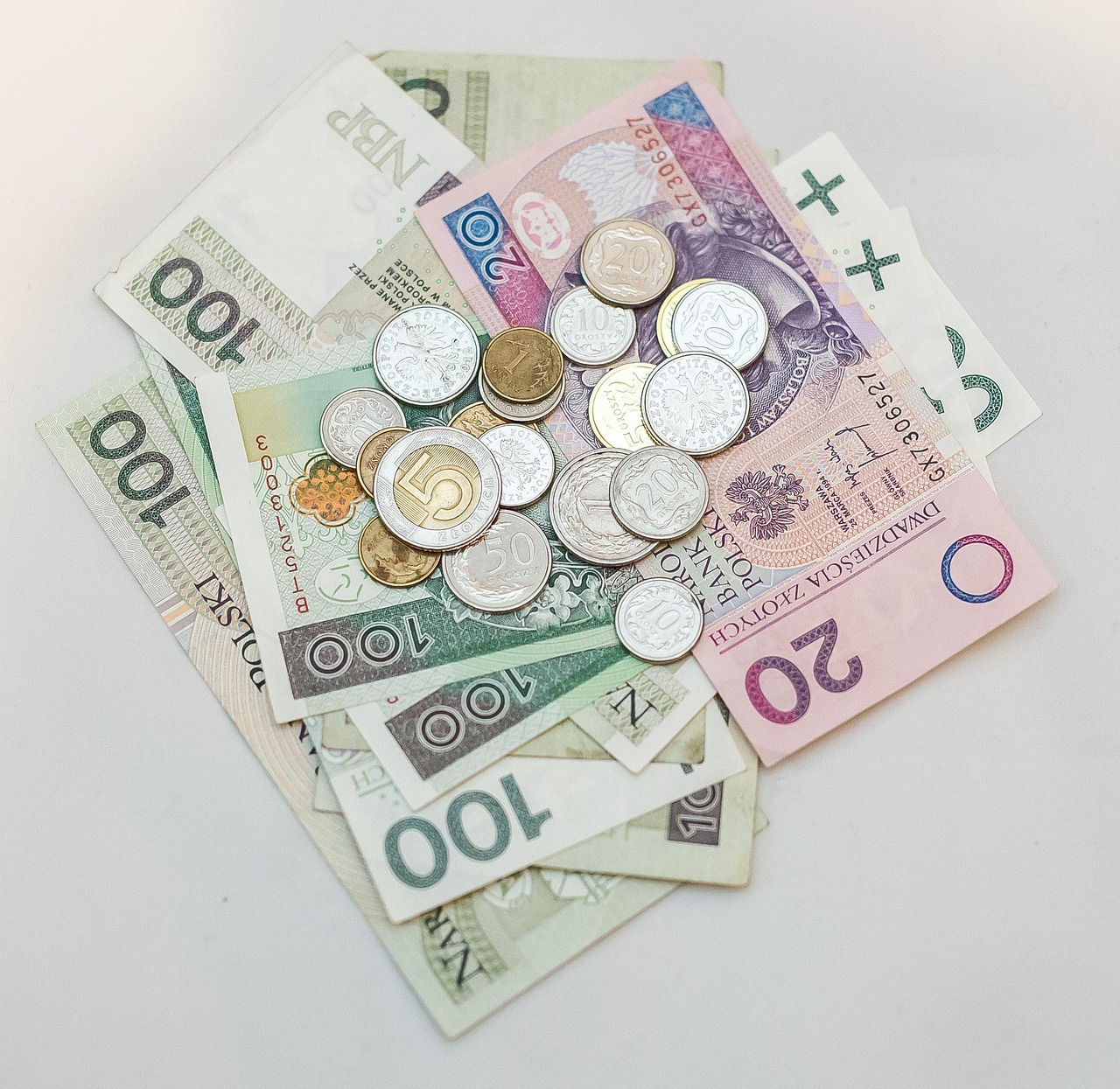 Quanto custa o curso de banho e tosa — investimento inicial e retorno financeiro em 2026